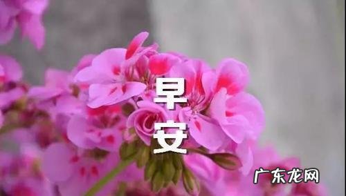 冬天落叶的说说短句 【抖音文案】迎接冬天的说说短句