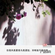 爱情伤感的句子唯美短句 【抖音文案】唯美句子短句伤感