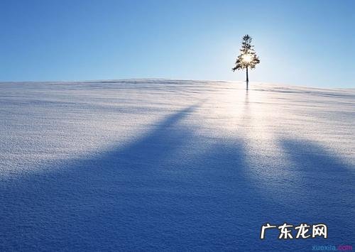 经典句子 人生感悟短句 【抖音文案】人生感悟经典短句