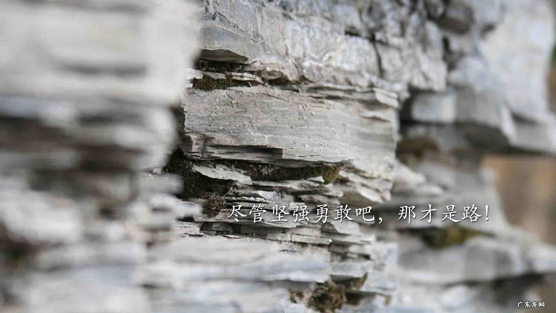 韩国夫妇减肥操歌曲:综艺节目如果爱8月3号灿盛和柳岩最后结尾的音乐是叫什么名字？