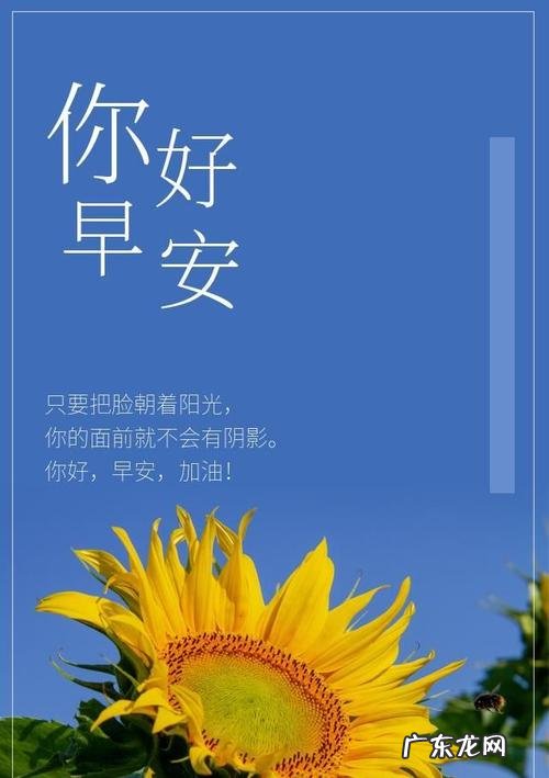 精致女人正能量的晚安句子 【抖音文案】精致女人正能量的句子有内涵