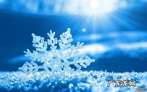 入冬的句子短句唯美 【抖音文案】秋入冬的唯美句子