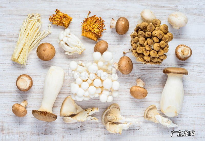 十大富含膳食纤维的食物 含营养纤维的食物有哪些