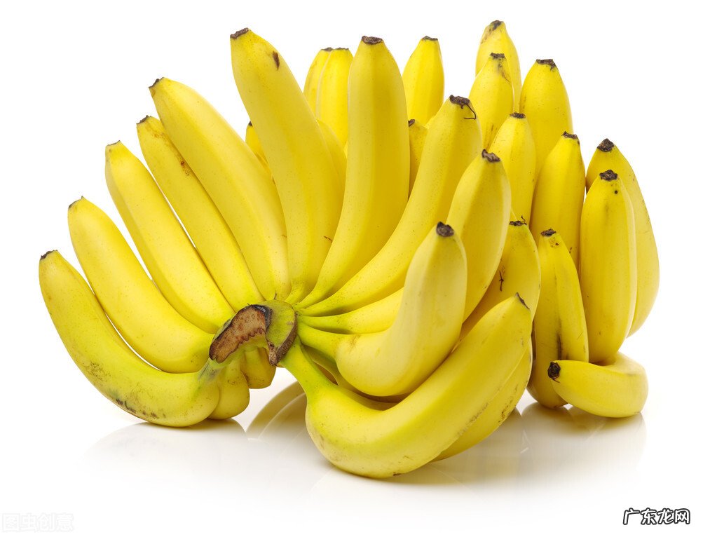 十大富含膳食纤维的食物 含营养纤维的食物有哪些