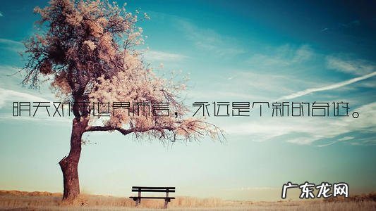 【抖音文案】十一月份美文美句