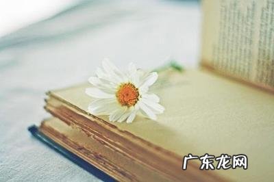 开心阳光的句子说说心情 【抖音文案】努力阳光的句子说说心情