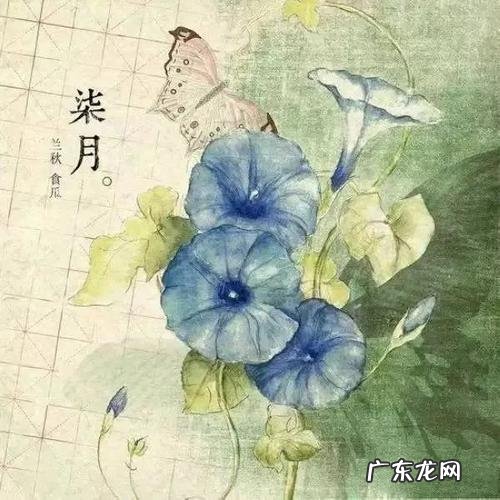 形容岁月流逝人不老的诗句 【抖音文案】形容岁月流逝的很快的诗句