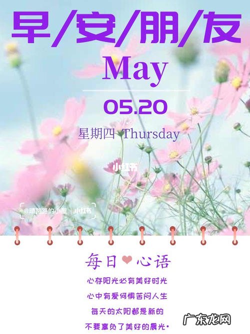 每日一句问候语早安心语 【抖音文案】每日一句早安心语