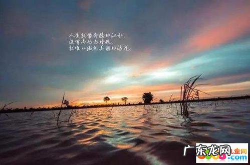 生活励志语录经典短句 【抖音文案】努力励志语录经典短句说说