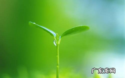 淘宝标题怎么优化？优化技巧介绍！