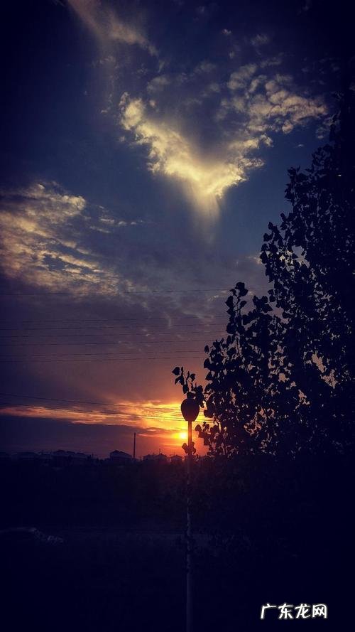 晚上起风的句子 【抖音文案】起风的句子