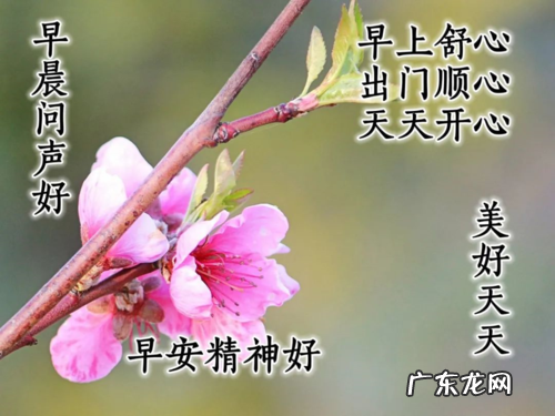 晚上起风的句子 【抖音文案】起风的句子