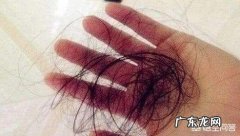 有什么可以缓解脱发的小方法