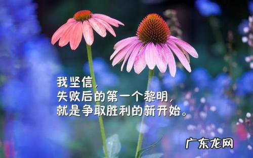 微语录每天一句正能量古诗 【抖音文案】微语录每天一句正能量