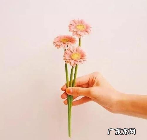 暖到哭的句子给女孩伤感图片 【抖音文案】暖到哭的句子给女孩