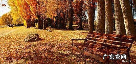 【抖音文案】描述十一月份的名言佳句