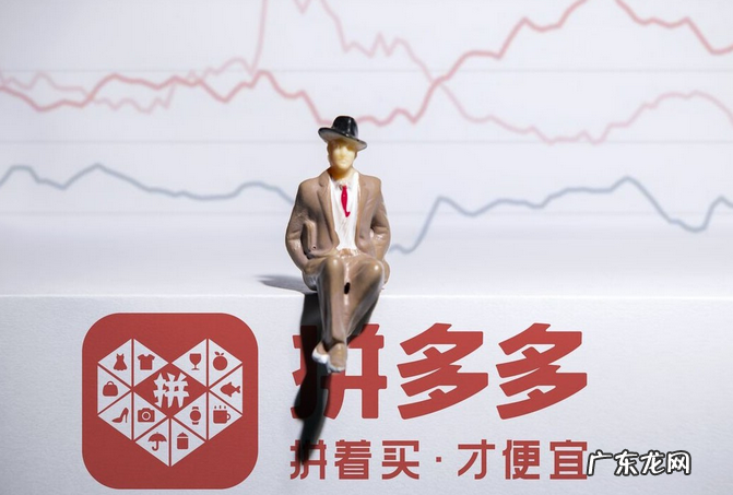 拼多多用户数据统计，二季度营收230.5亿元！