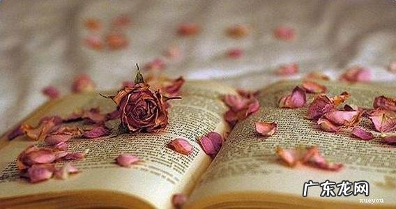 熬夜伤感句子说说心情短语 【抖音文案】生活伤感的句子说说心情短语