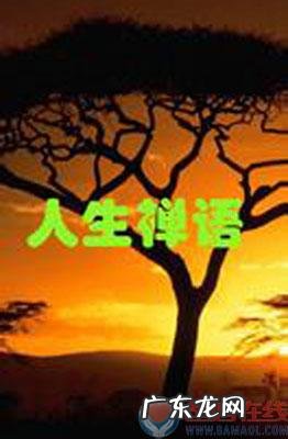 风景与人生感悟句子 【抖音文案】关于亲情人生感悟的句子