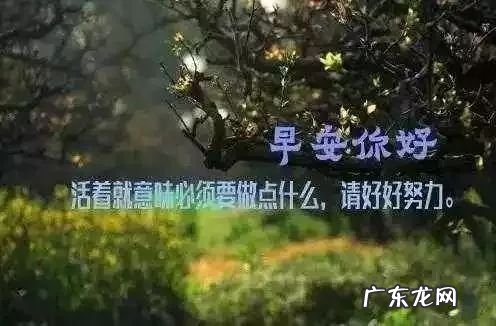 朋友之间祝福语短句 【抖音文案】朋友之间的暖心话短句