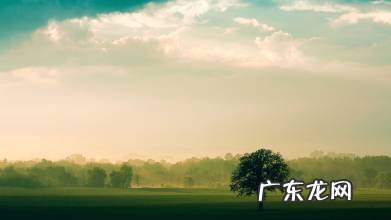 优美的抒情句子200字 【抖音文案】优美的抒情句子