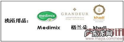 G20各国受中国消费者青睐的海淘产品