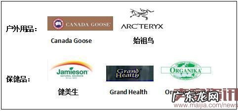 G20各国受中国消费者青睐的海淘产品