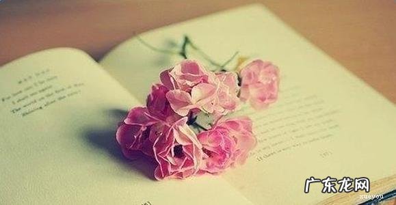 形容心情瞬间美好的句子 【抖音文案】形容心情美好的句子