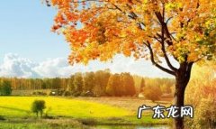 描写秋天景色优美句子100字 【抖音文案】描写秋天景色的句子10字