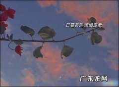 享受一个人独处的句子图片 【抖音文案】享受一个人独处的句子抖音