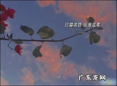 享受一个人独处的句子图片 【抖音文案】享受一个人独处的句子抖音