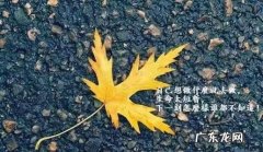 适合风景的说说的句子 【抖音文案】风景说说句子