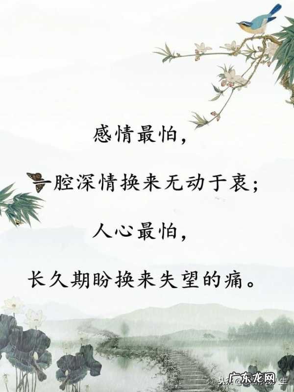 【抖音文案】关于风吹草动的唯美句子