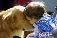 怀孕期怎样科学研究养宠物