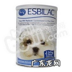 小狗生完孩子抽搐怎么办