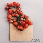 让女朋友感动流泪的话句子 【抖音文案】让女朋友感动流泪的话