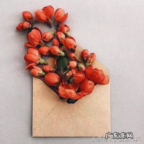 让女朋友感动流泪的话句子 【抖音文案】让女朋友感动流泪的话