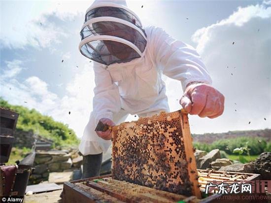 亚马逊英国站热卖产品TOP10