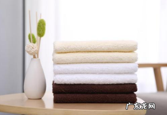 泰迪犬腿被大咬到