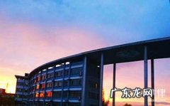 侵权知识产权怎么办？处理规则是什么？