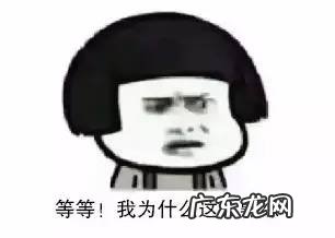 教你4招辨别小技巧 报关单怎么查询真伪