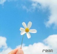 【抖音文案】抖音最火的配风景的句子