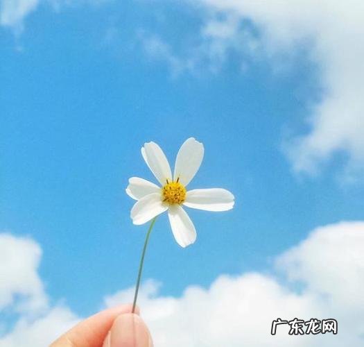 【抖音文案】抖音最火的配风景的句子