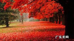 关于秋天风景的句子唯美诗句 【抖音文案】一句简短的秋天风景句子