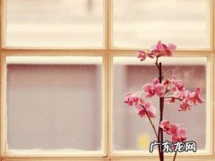形容十月结婚的唯美句子 【抖音文案】形容十月的句子唯美