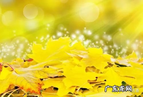 形容十月结婚的唯美句子 【抖音文案】形容十月的句子唯美