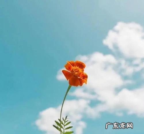 适合早上发朋友圈的句子简短 【抖音文案】适合早上发朋友圈的句子