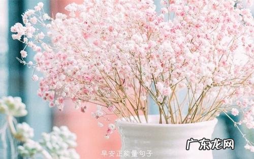 适合早上发朋友圈的句子简短 【抖音文案】适合早上发朋友圈的句子