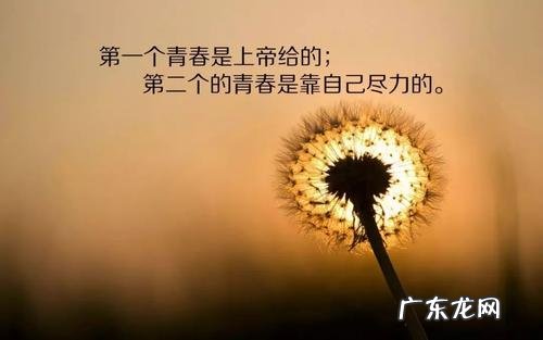 最透彻的人生感悟短句 【抖音文案】最伤感的人生感悟短句