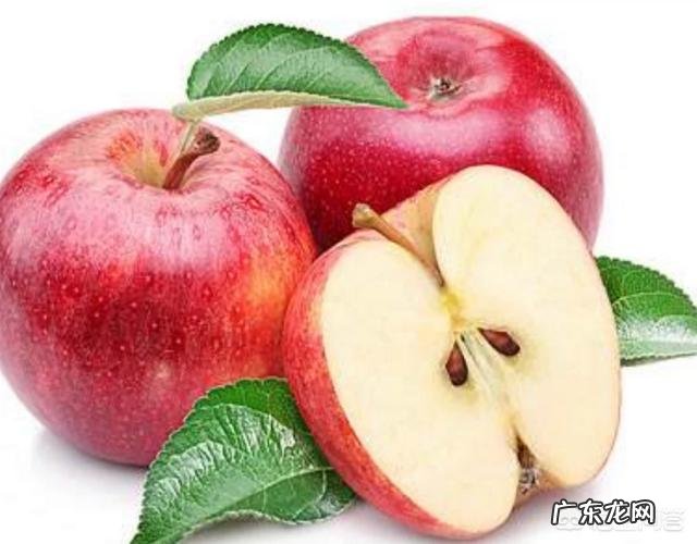 一个不喜欢运动的胖子，如何才能减肥